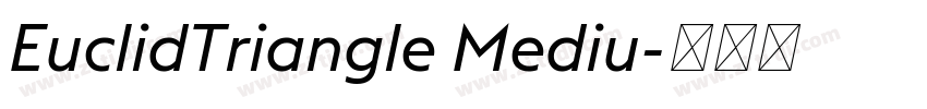 EuclidTriangle Mediu字体转换